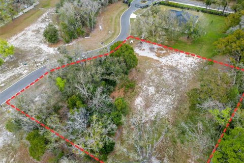 Land in Lutz, Florida № 2214856 - photo 5