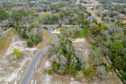 Land in Lutz, Florida № 2214856 - photo 27