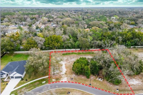 Land in Lutz, Florida № 2214856