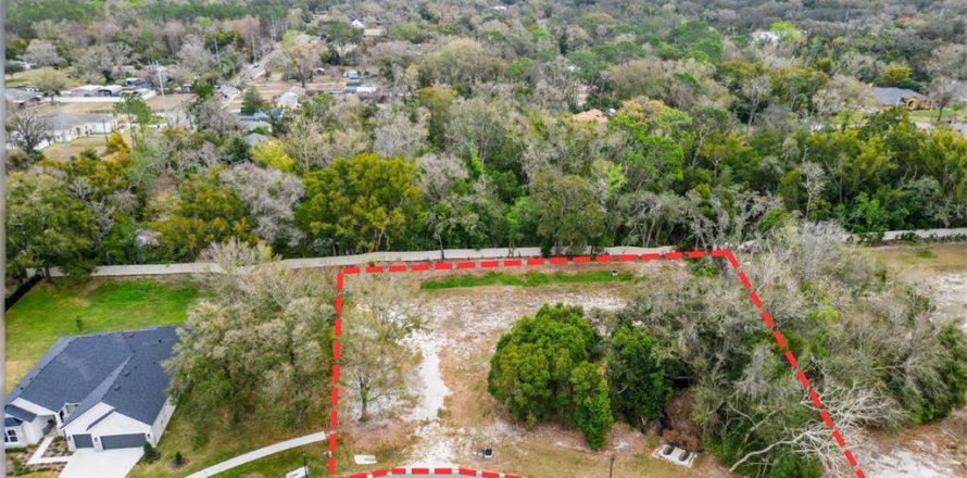 Land in Lutz, Florida № 2214856