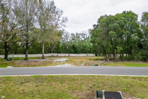Land in Lutz, Florida № 2214856 - photo 7