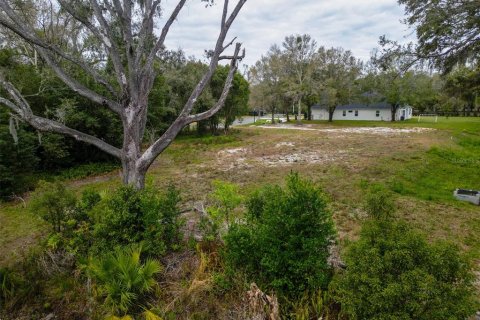 Land in Lutz, Florida № 2214856 - photo 10