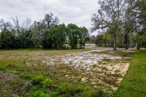 Land in Lutz, Florida № 2214856 - photo 24