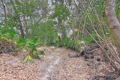 Land in Lutz, Florida № 2214856 - photo 17
