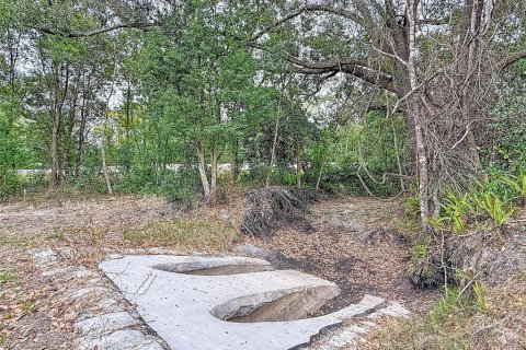 Land in Lutz, Florida № 2214856 - photo 12