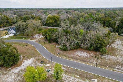 Land in Lutz, Florida № 2214856 - photo 26