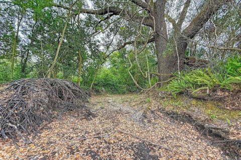 Land in Lutz, Florida № 2214856 - photo 15