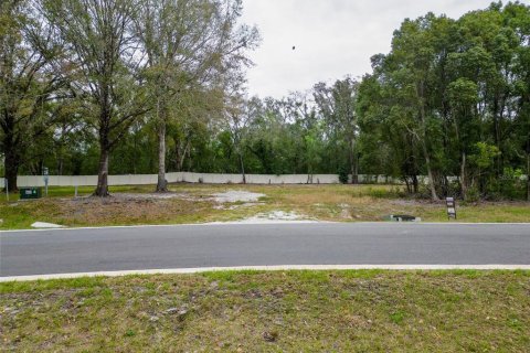 Land in Lutz, Florida № 2214856 - photo 23