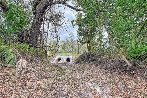 Land in Lutz, Florida № 2214856 - photo 18