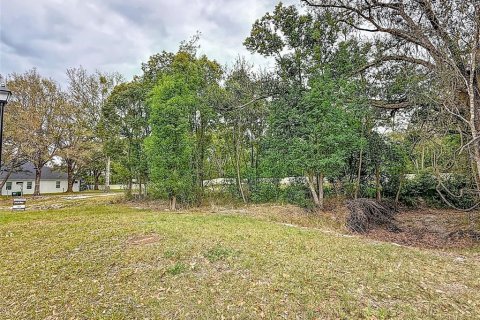 Land in Lutz, Florida № 2214856 - photo 13