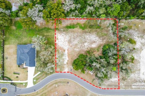 Land in Lutz, Florida № 2214856 - photo 2