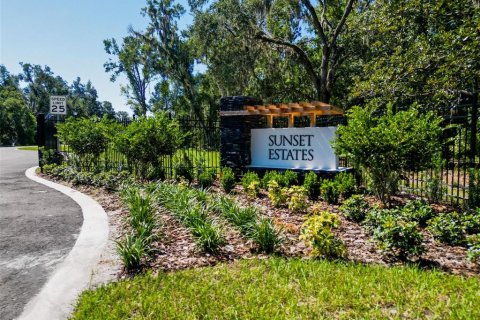 Land in Lutz, Florida № 2214856 - photo 30