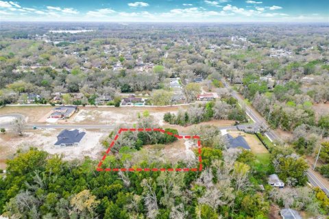 Land in Lutz, Florida № 2214856 - photo 4