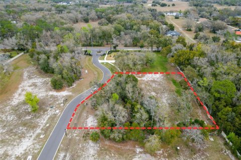 Land in Lutz, Florida № 2214856 - photo 6