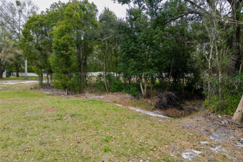 Land in Lutz, Florida № 2214856 - photo 8