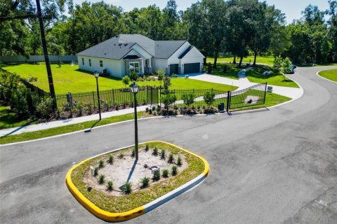 Land in Lutz, Florida № 2214856 - photo 29