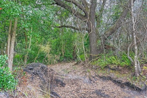 Land in Lutz, Florida № 2214856 - photo 14