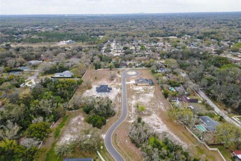 Land in Lutz, Florida № 2214856 - photo 22