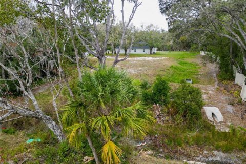 Land in Lutz, Florida № 2214856 - photo 11