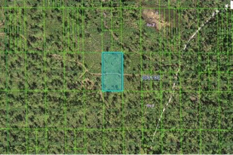 Terreno en Lake Wales, Florida № 2235008