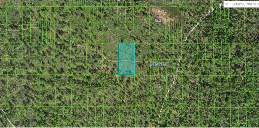 Terreno en Lake Wales, Florida № 2235008