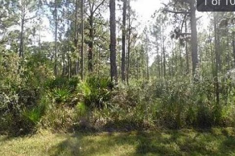 Terreno en venta en Lake Wales, Florida № 2235008 - foto 2