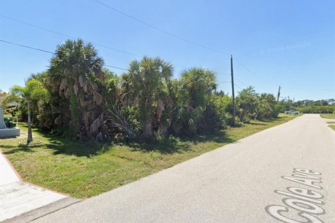 Land in Port Charlotte, Florida № 2212452 - photo 4