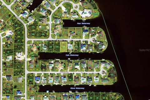 Land in Port Charlotte, Florida № 2212452 - photo 3