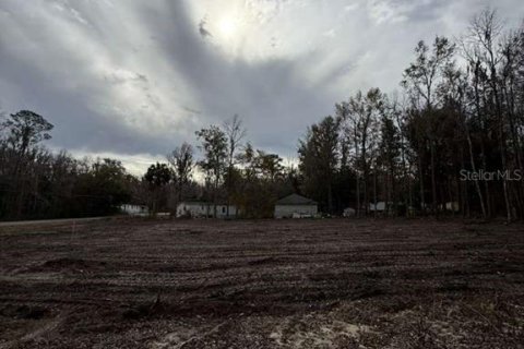 Land in Ocala, Florida № 2161797 - photo 6