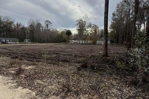 Land in Ocala, Florida № 2161797 - photo 10