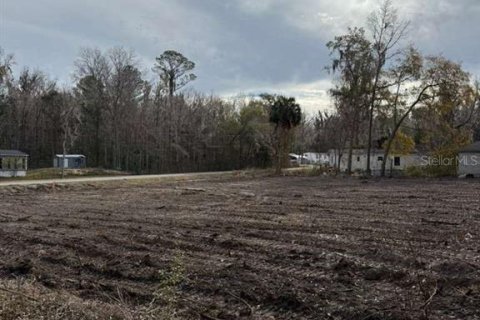 Land in Ocala, Florida № 2161797 - photo 12