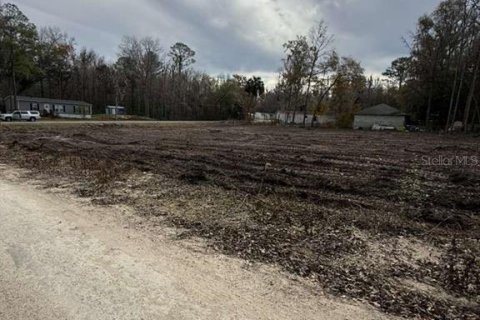 Land in Ocala, Florida № 2161797 - photo 9