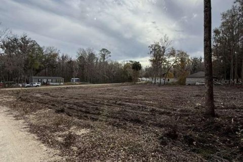 Land in Ocala, Florida № 2161797 - photo 11
