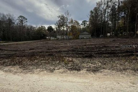 Land in Ocala, Florida № 2161797 - photo 8