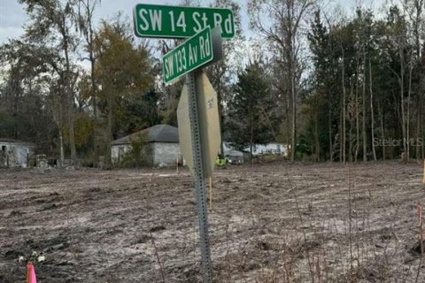 Land in Ocala, Florida № 2161797 - photo 3
