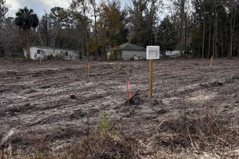 Land in Ocala, Florida № 2161797 - photo 5