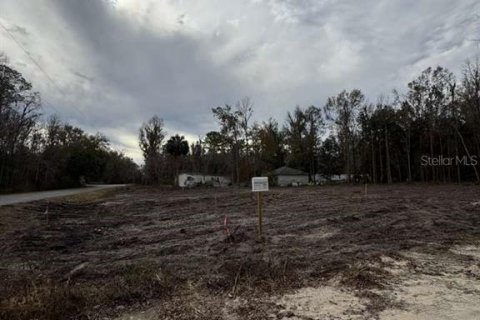 Land in Ocala, Florida № 2161797 - photo 7