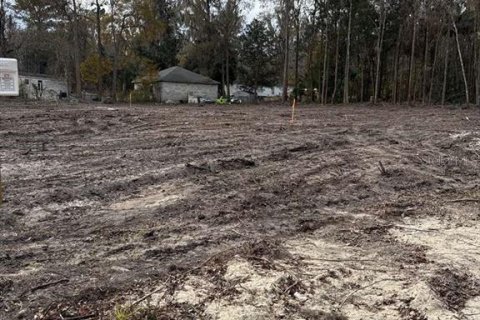Land in Ocala, Florida № 2161797 - photo 4