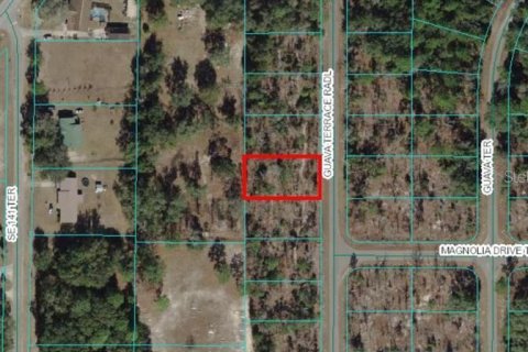 Terreno en Ocklawaha, Florida № 2203068