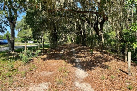 Land in Groveland, Florida № 1886665 - photo 9