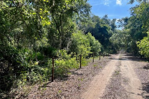 Land in Groveland, Florida № 1886665 - photo 8