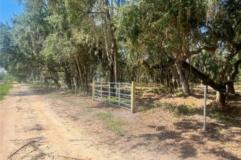 Land in Groveland, Florida № 1886665 - photo 12