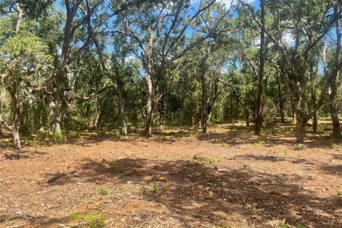 Land in Groveland, Florida № 1886665 - photo 30