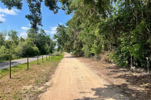 Land in Groveland, Florida № 1886665 - photo 5
