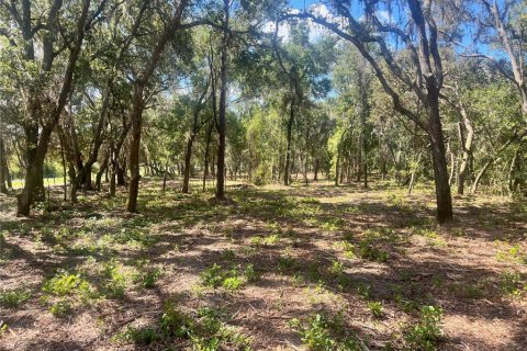 Land in Groveland, Florida № 1886665 - photo 18