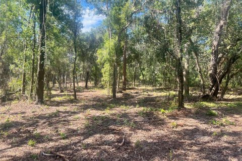 Land in Groveland, Florida № 1886665 - photo 21
