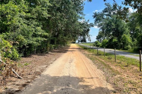 Land in Groveland, Florida № 1886665 - photo 10