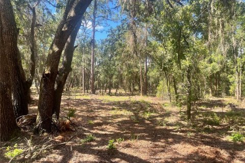 Land in Groveland, Florida № 1886665 - photo 23