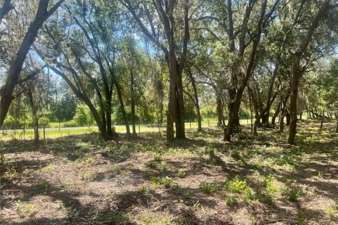 Land in Groveland, Florida № 1886665 - photo 19