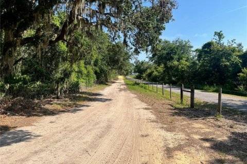 Land in Groveland, Florida № 1886665 - photo 6